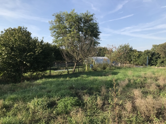 Predaj, pozemok pre rodinný dom   660 m2 Budmerice, s právoplatným úz. rozhodnutím - EXKLUZÍVNE HALO REALITY