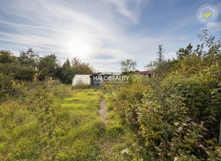 Predaj, záhradný pozemok   404 m2 Komárno, Čerhát, s chatkou pri komárňanskom ...