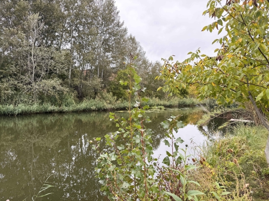 Predaj, záhradný pozemok   404 m2 Komárno, Čerhát, pri komárňanskom kanáli - EXKLUZÍVNE HALO REALITY