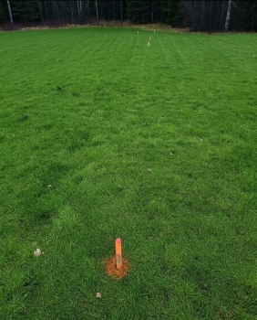 Predaj, rekreačný pozemok Nálepkovo, 613 m2 - EXKLUZÍVNE HALO REALITY