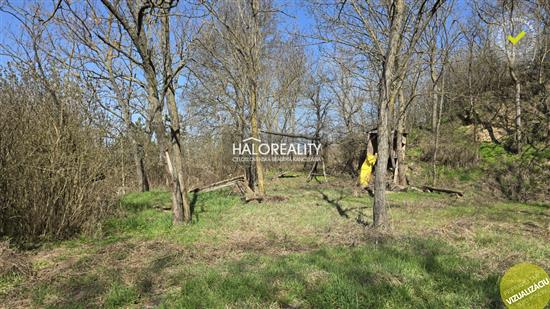 Predaj, rekreačný pozemok Zalaba