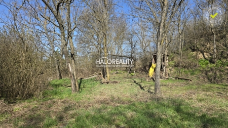 Predaj, rekreačný pozemok Zalaba