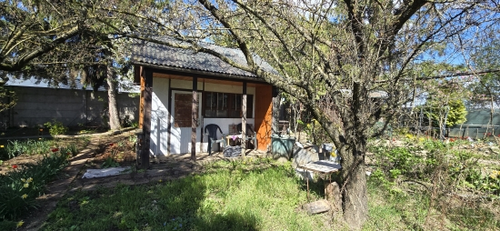 Predaj, záhradka s chatkou 215 m2 Galanta, Šaľská ulica