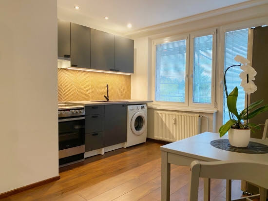 Prenájom, jednoizbový byt Považská Bystrica, Stred