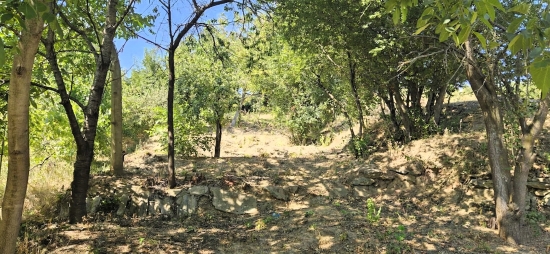 Predaj, záhradný pozemok   393 m2 Hlohovec, Mlynárska hora