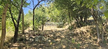 Predaj, záhradný pozemok   393 m2 Hlohovec, Mlynárska hora