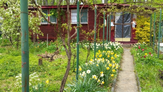 Predaj, záhradná chata Poltár - EXKLUZÍVNE HALO REALITY