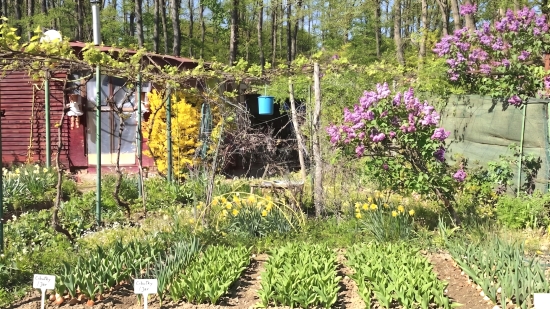 Predaj, záhradná chata Poltár - EXKLUZÍVNE HALO REALITY