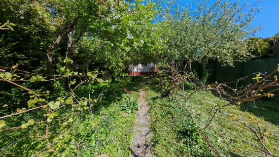 Predaj, záhradná chata Nové Zámky