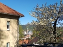 HALO reality | Predaj, dvojizbový byt Kremnica - EXKLUZÍVNE HALO REALITY