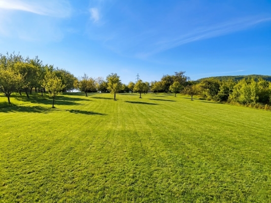 Predaj, pozemok pre rodinný dom   5131 m2 Trenčianske Mitice