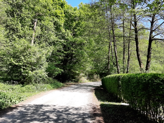Predaj, záhradný pozemok   1050 m2 Hubina, neďaleko Striebornice