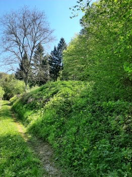 Predaj, záhradný pozemok   1050 m2 Hubina, neďaleko Striebornice