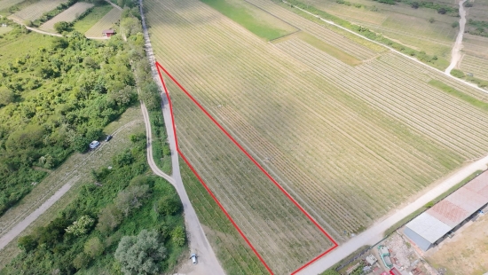 Predaj, pozemok   3801 m2 Svätý Jur - EXKLUZÍVNE HALO REALITY