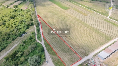 Predaj, pozemok   3801 m2 Svätý Jur - EXKLUZÍVNE HALO REALITY