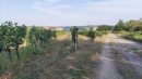 HALO reality | Predaj, pozemok   3801 m2 Svätý Jur - EXKLUZÍVNE HALO REALITY