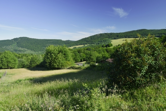 Predaj, pozemok pre rodinný dom   8293 m2 Malá Lehota, so stavebným povolením a projektom v cene - EXKLUZÍVNE HALO REALITY