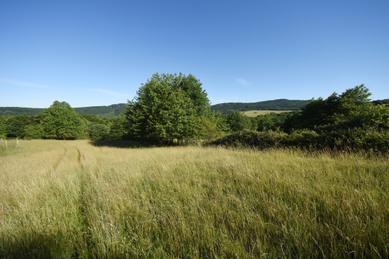 Predaj, pozemok pre rodinný dom   8293 m2 Malá Lehota, so stavebným povolením a projektom v cene - EXKLUZÍVNE HALO REALITY