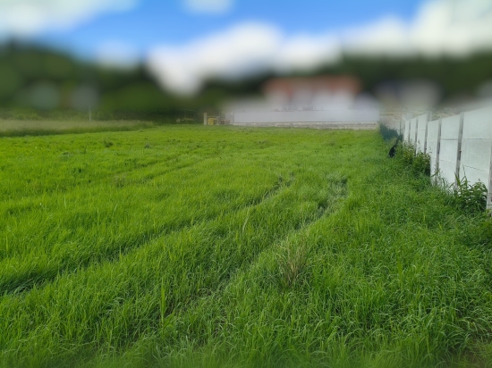 Predaj, pozemok pre rodinný dom   1065 m2 Valča