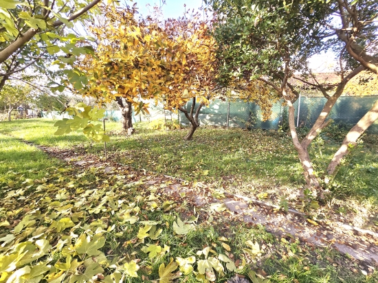 Predaj, rekreačný pozemok Bratislava Ružinov, Slovnaftská, záhrada + záhradný domček