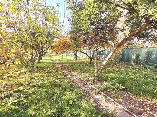 Predaj, rekreačný pozemok Bratislava Ružinov, Slovnaftská, záhrada + záhradný domček