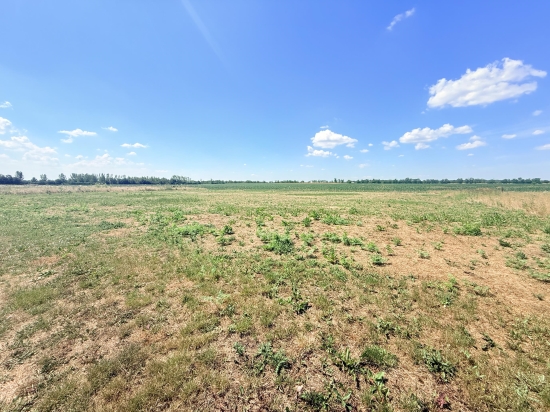Predaj, pozemok pre rodinný dom   1536 m2 Štefanovičová