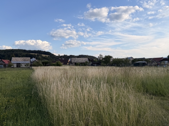 Predaj, pozemok pre rodinný dom   325 m2 Veľká Lúka
