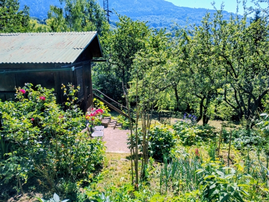 Predaj, záhradná chata Kremnica, s pozemkom 480 m2
