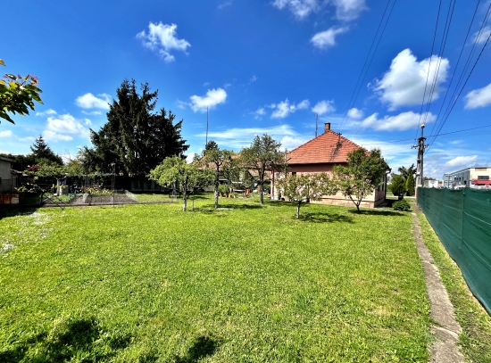 Predaj, rodinný dom Levice, pozemok 759 m2 s prístupom z 2 strán - EXKLUZÍVNE HALO REALITY