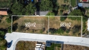 HALO reality | Predaj, pozemok pre rodinný dom 683 m2 Nová Dedina, Tekovská Nová Ves - všetky IS na pozemku, pokojná slepá ulica - EXKLUZÍVNE HALO REALITY