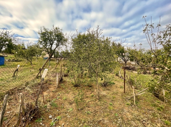 Predaj, rekreačný pozemok Šahy, vinica s chatkou, 437 m2 - EXKLUZÍVNE HALO REALITY