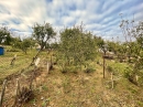 HALO reality | Predaj, rekreačný pozemok Šahy, vinica s chatkou, 437 m2 - EXKLUZÍVNE HALO REALITY