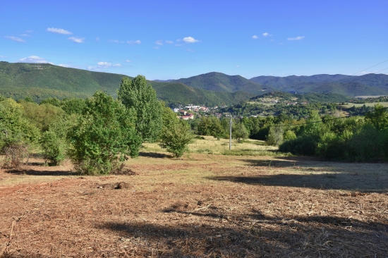 Predaj, pozemok pre rodinný dom   6266 m2 Nová Baňa, Štále, Viničná cesta - EXKLUZÍVNE HALO REALITY