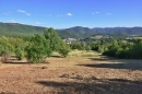 HALO reality | Predaj, pozemok pre rodinný dom   6266 m2 Nová Baňa, Štále, Viničná cesta - EXKLUZÍVNE HALO REALITY
