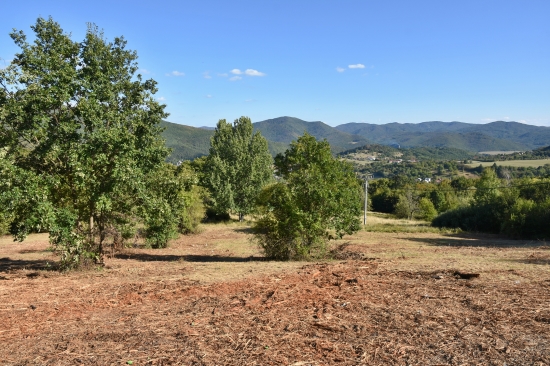 Predaj, pozemok pre rodinný dom   6266 m2 Nová Baňa, Štále, Viničná cesta - EXKLUZÍVNE HALO REALITY