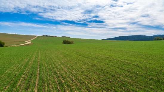 Predaj, pozemok pre rodinný dom   1336 m2 Liptovská Štiavnica, Kľučiny - EXKLUZÍVNE HALO REALITY