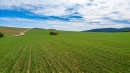 HALO reality | Predaj, pozemok pre rodinný dom   1336 m2 Liptovská Štiavnica, Kľučiny - EXKLUZÍVNE HALO REALITY