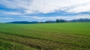 HALO reality | Predaj, pozemok pre rodinný dom   1336 m2 Liptovská Štiavnica, Kľučiny - EXKLUZÍVNE HALO REALITY