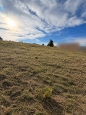 HALO reality | Predaj, pozemok pre rodinný dom   848 m2 Zvolen