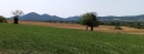 HALO reality | Predaj, pozemok pre rodinný dom   2351 m2 Čerhov