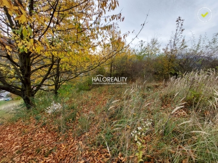 pozemok - Čavoj