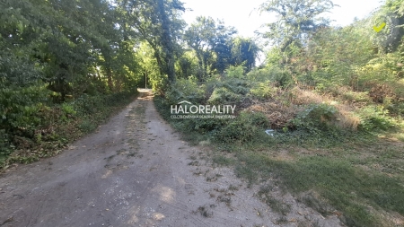 REKREAČNÝ POZEMOK - RADVAŇ NAD DUNAJOM