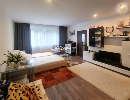 JEDNOIZBOVÝ BYT - HANDLOVÁ