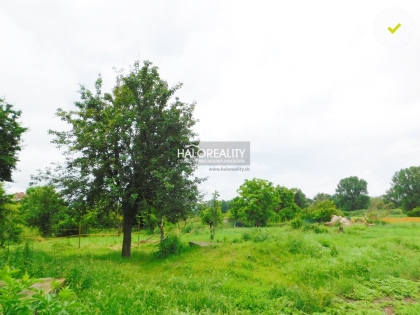 Predaj, pozemok pre rodinný dom   5063 m2 Pataš, Milinovice - EXKLUZÍVNE HALO REALITY